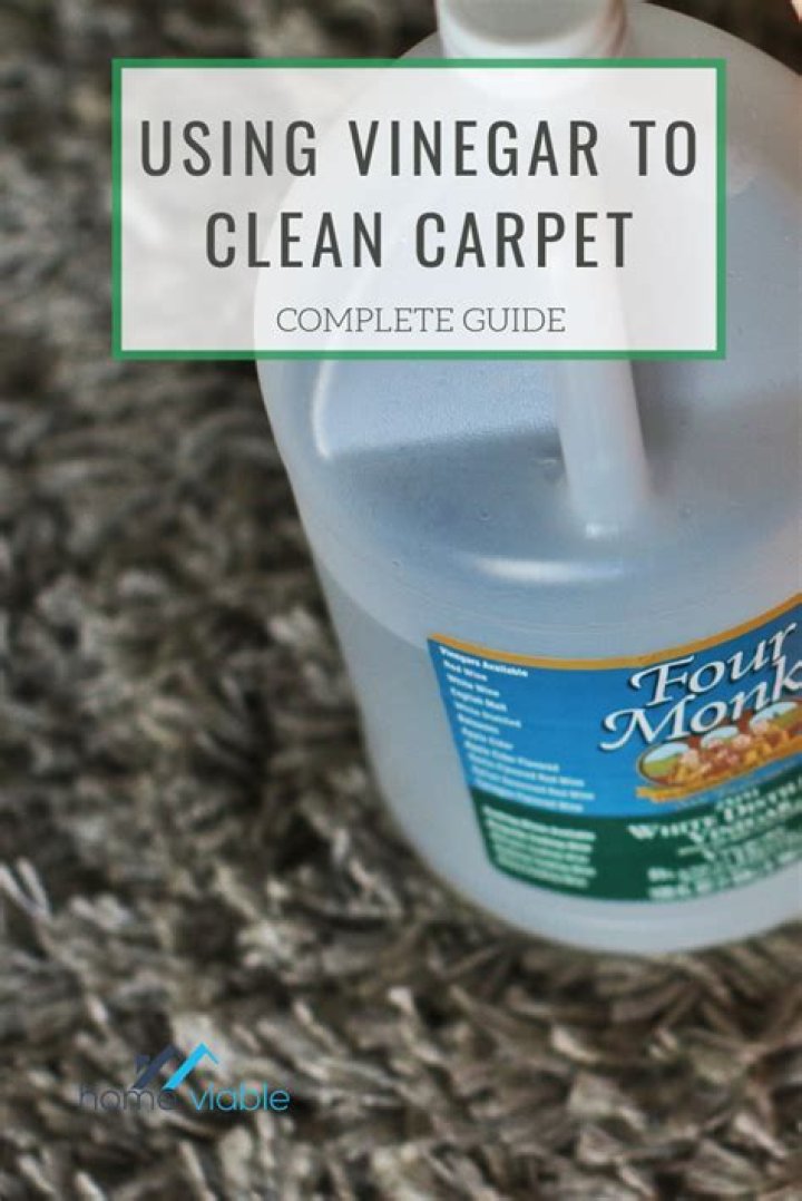Can I shampoo my carpet with vinegar