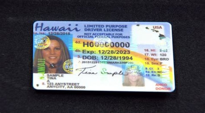Do I need international drivers license in Hawaii