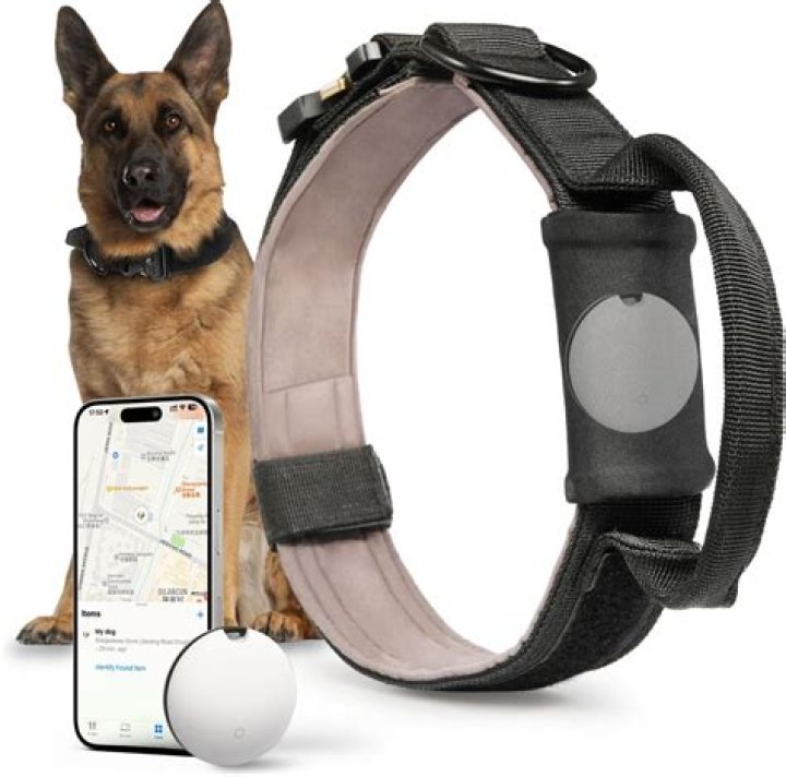 Do police dogs use e collars