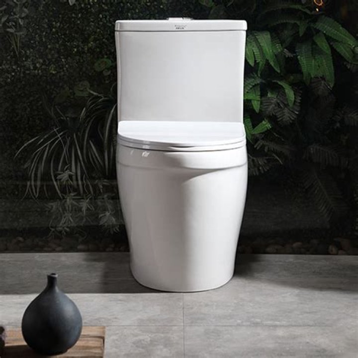 Do toilets come in different heights