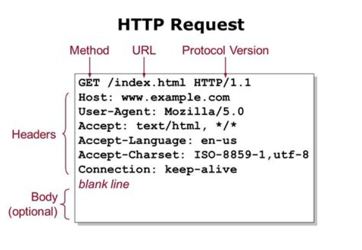 How do I send a HTTP request in react