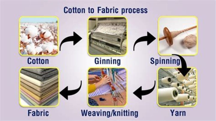 In which Harappan city a piece of the cotton fabric was found