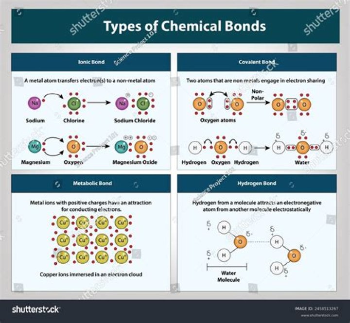 What are the 3 major types of chemical bonds and how do they work