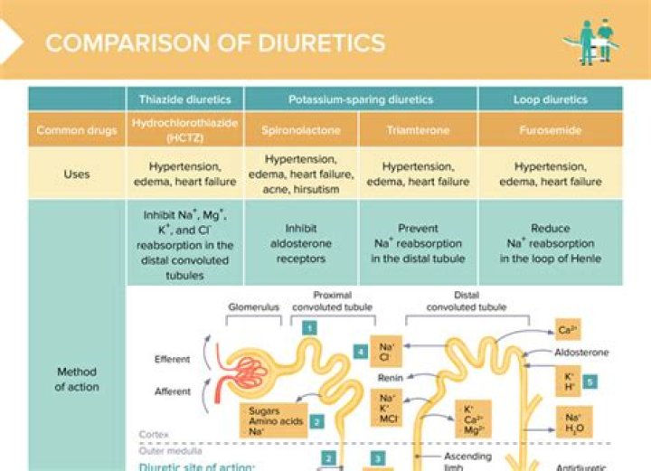 What are the different types of diuretics