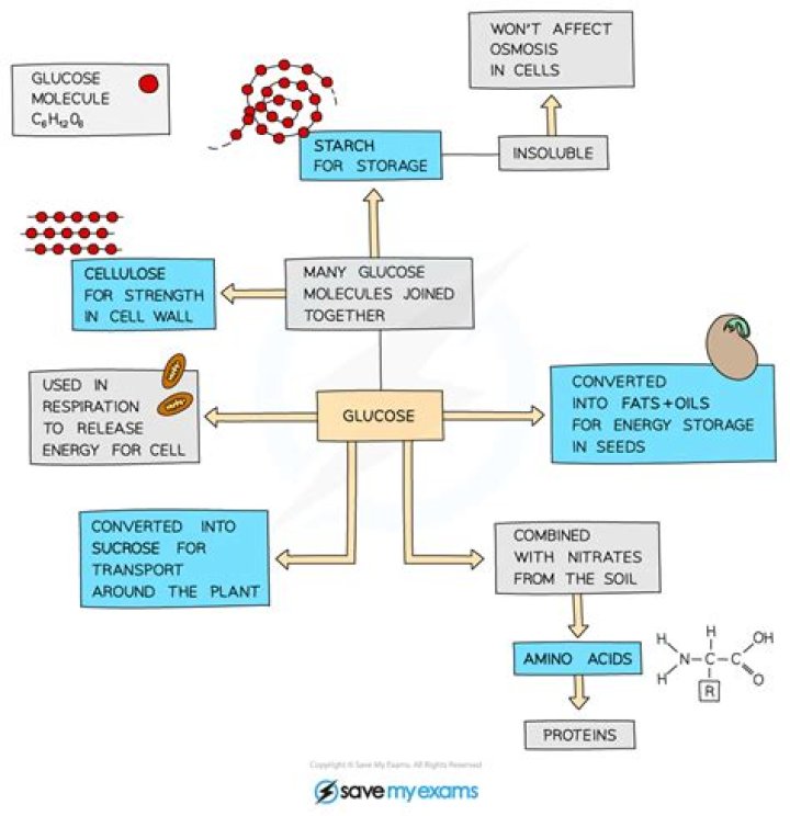 What are the steps to create a computer cluster