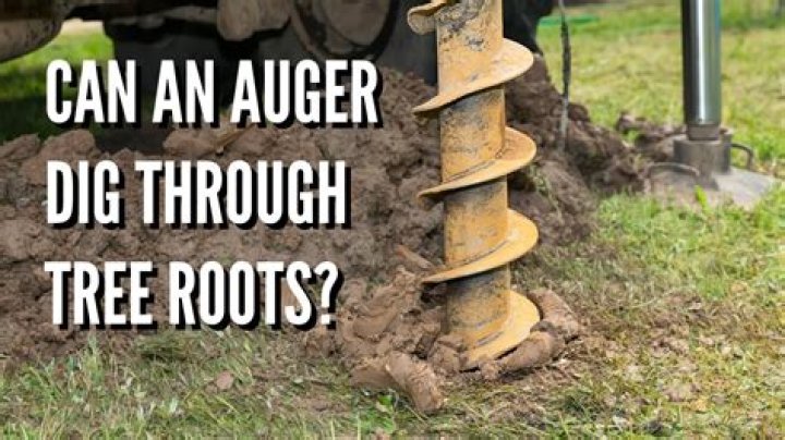 What is a tree Auger