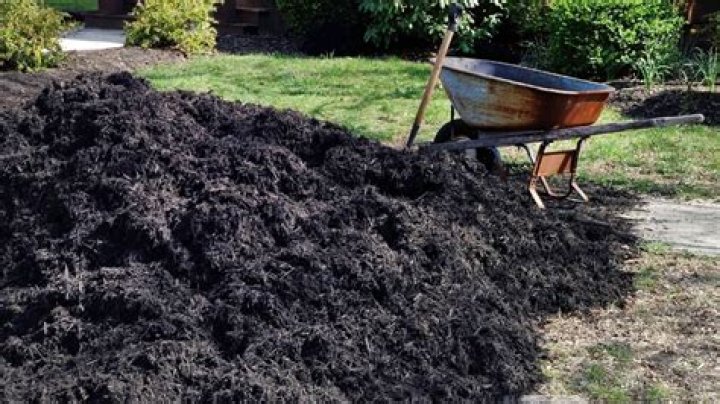 What is black mulch used for