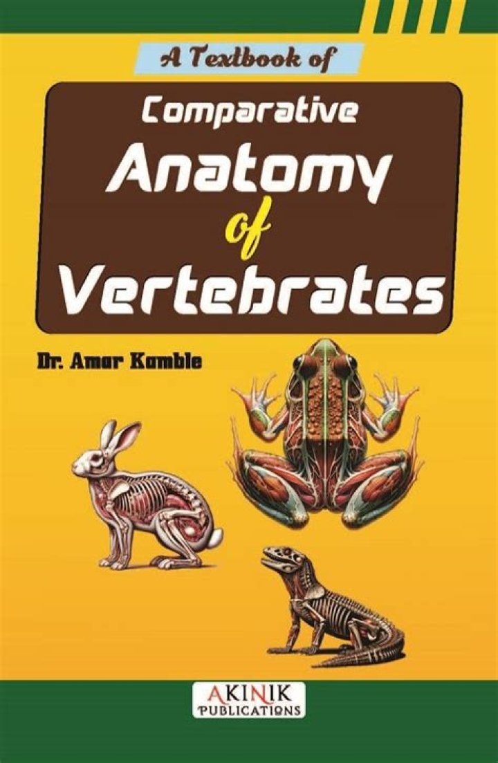 What is comparative anatomy vertebrates?