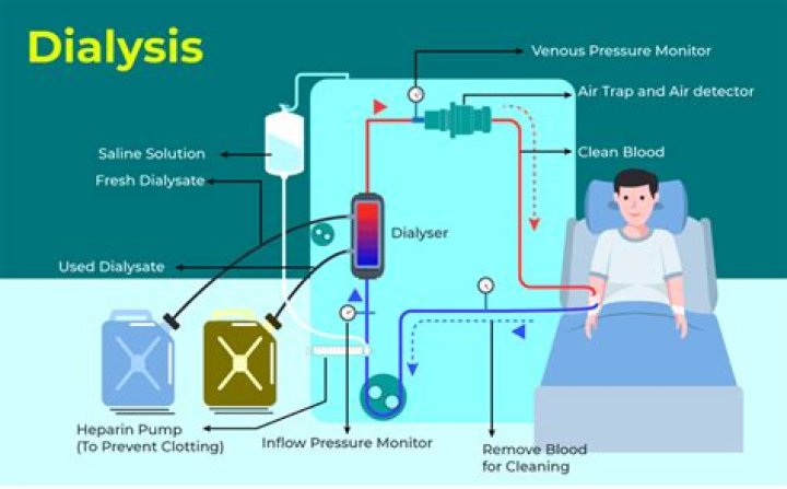 What is the purpose of dialysis treatments