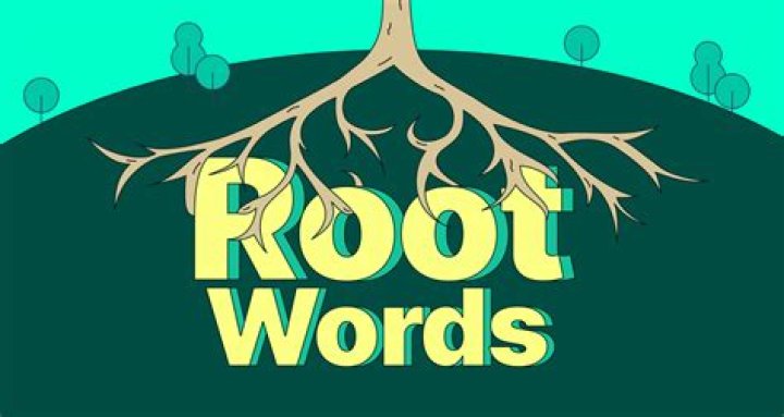 What is the word root for male