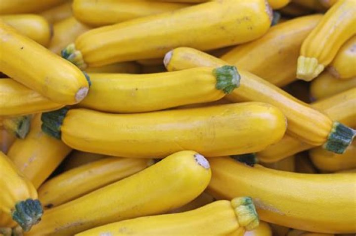What is the yellow squash called