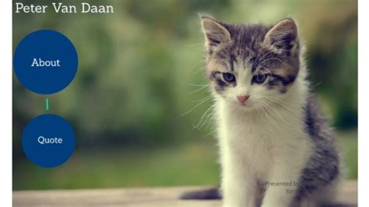 What was the name of Peter Van Daan cat
