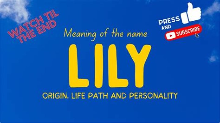 When was the name Lily first used