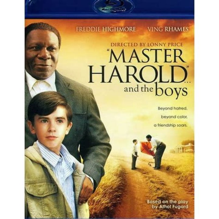 Why is the historical setting of Master Harold and the Boys important to the themes of the play